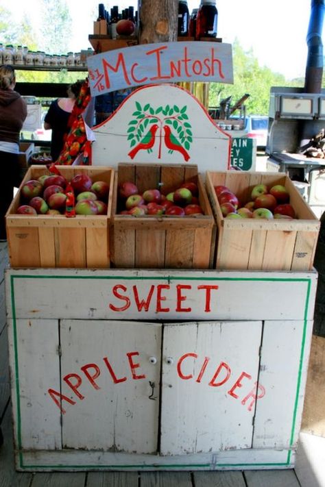 Apple picking in Vermont Cider Stand, Apple Stand, Mcintosh Apples, Cider House, Apple Farm, Farm Stand, Apple Orchard, Apple Picking, Apple Blossom