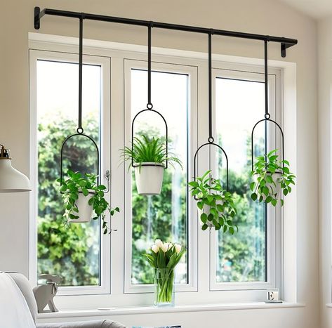 Hanging Planters, The Window, Potted Plants, The World, Plants, Wall, Hanging Basket