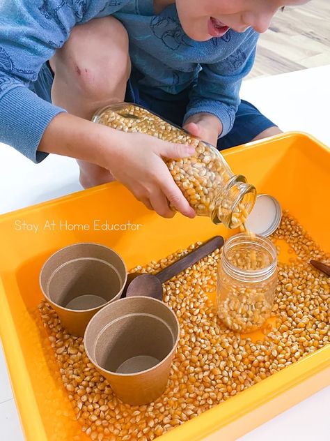 Fine Motor Practice with Scooping and Pouring - Stay at Home Educator Scooping Activities, Pouring Activities, Fine Motor Skills For Toddlers, Farm Sensory Bin, Valentine Sensory, Fall Activities For Toddlers, Fall Sensory, Toddler Sensory Bins, Ocean Theme Preschool