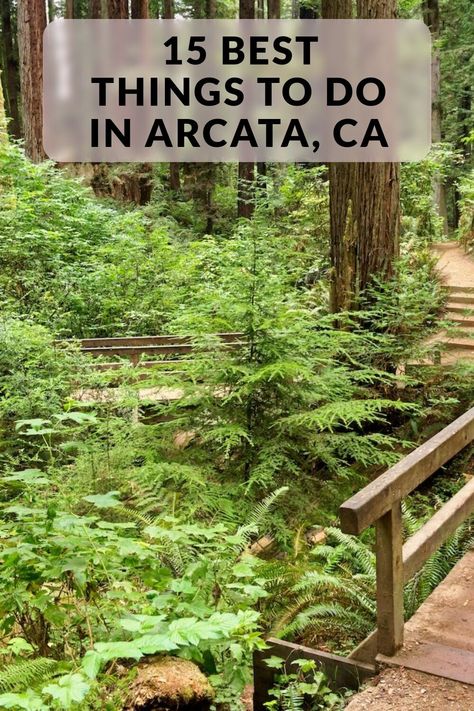 Discover the 15 best things to do in Arcata, CA. Including Arcata Marsh and Wildlife Sanctuary, Arcata Community Forest, Arcata Theatre Lounge and more. Forest Vacation, Arcata California, Humboldt State University, Humboldt County, Senior Trip, Redwood Forest, Community Park, Wildlife Sanctuary, Picnic Area