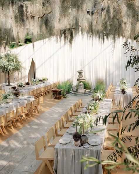 35 Major Trends for 2025 Weddings Elegant Outdoor Wedding Reception, Hanging Moss, Garden Setup, Elegant Garden Wedding, Hand Drawn Wedding Invitations, Tan Wedding, Garden Wedding Reception, 2025 Wedding, Hand Drawn Wedding