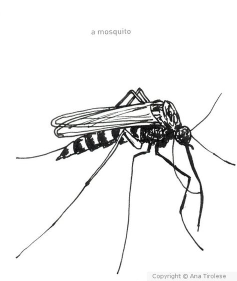 Mosquito Tattoo Ideas, Mosquito Tattoo, Mosquito Art, Mosquito Drawing, 642 Things To Draw, Cartoon Mosquito, Punk Rock Posters, Hand Gesture Drawing, Deep Tattoo