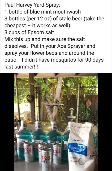 Paul Harvey Yard Spray: 1 bottle of blue mint mouthwash  3 bottles (per 12 oz) of stale beer (take the cheapest – it works as well) 3 cups of Epsom salt Mix this up and make sure the salt dissolves.  Put in your Ace Sprayer and spray your flower beds and around the patio.   I didn't have mosquitos for 90 days last summer!!! Diy Yard Spray For Mosquitos, Diy Bug Spray For Yard, How To Get Rid Of Mosquitos In Yard Diy, Bug Spray For Yard, Diy Mosquito Repellent For Yard, Mosquito Spray For Yard, Mosquito Repellent For Yard, Mint Mouthwash, Mosquito Yard Spray