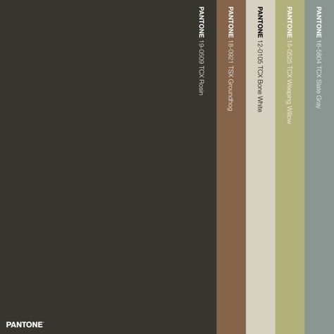 Fairy Tales Color Palette Combinations • Download Free Adobe Illustrator Palette in .ase • #pantone #pantonecolors #pantonecolours #colorcombos #pantone2020colortrend #colorswatches #colourswatches #colorscheme #colourscheme #colorpalette #colourpalette #colorcombinations #colorcombinations #fallcolor #fallcolours #autumncolorpalette #autumncolourpalette #browncolor #pantonebrown #neutralcolorscheme Neutral Pantone, Gray Pantone, Seasonal Color Palette, Pantone Tcx, Pantone 2020, Beyond Blue, Pantone Colour Palettes, Gender Neutral Colors, Muted Color Palette