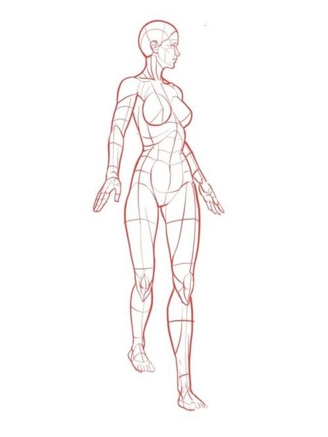 Walking Poses, Fashion Figure Drawing, Drawing Body Poses, Really Cool Drawings, Sketch Poses, Human Anatomy Drawing, Human Figure Drawing, Human Anatomy Art, Human Drawing