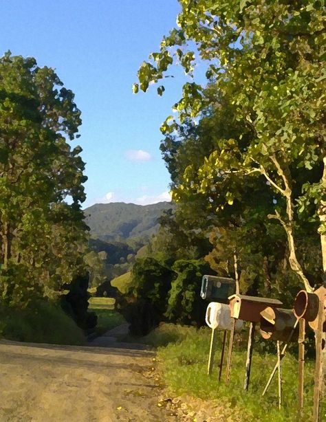 Back creek off Bentley Road Bellingen Nsw, Lismore Nsw, Beautiful Australia, South Wales, New South Wales, Landscape Photos, Photo Inspo, Bentley, Wales