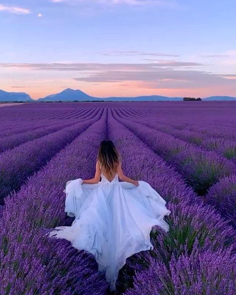 Sunset Photoshoot Ideas, Lavenders Blue Dilly Dilly, Lavender Fields Photography, Pageant Photography, Honeymoon Photos, Lavender Field, Portfolio Images, Fields Photography, Shooting Photo