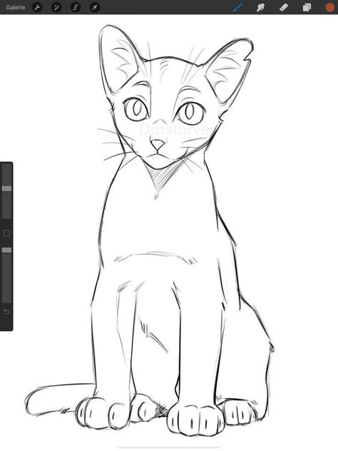 Cat Oc Drawing, Outfit Female Drawing, Cats Animated, Drawing Chibi, Unusual Animal Friendships, Animal Friendships, Outfit Female, Cat Drawing Tutorial, Cats Art Drawing