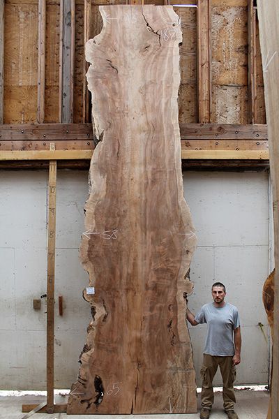 Extra Long Big Leaf Maple Live Edge Slab Wood Slabs On Wall, Live Edge Slabs Wood, Live Edge Barn Door, Live Edge King Size Bed, Curly Maple Wood, Wood Reference, Happy Office, Wood Baseboard, Wood Partition