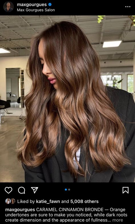 Brown Bayalage Hair, Hazelnut Hair Color, Hazelnut Hair, Zendaya Hair, Hair Styels, Brown Hair Inspo, Cute Hair Colors, Brunette Hair With Highlights, Brunette Balayage Hair