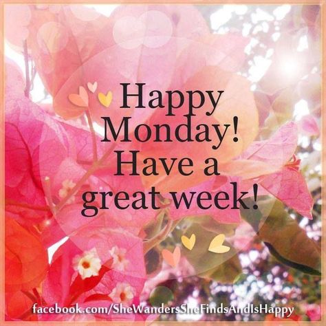 Happy Monday! Have A Great Week! Monday Gif, Happy Monday Images, Monday Inspirational Quotes, Monday Greetings, Monday Wishes, Happy Monday Quotes, Happy Monday Morning, Today Is Monday, Monday Images