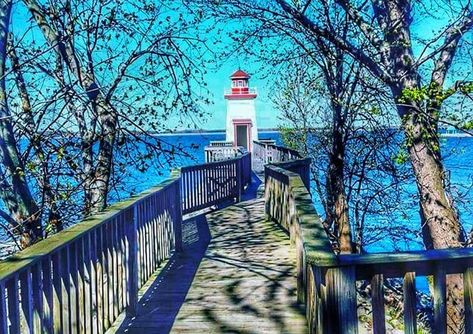 Lighthouse Landing Offers An Unforgettable Lighthouse Walk In Kentucky Kentucky Attractions, Kentucky Vacation, Land Between The Lakes, Kentucky Travel, Marina Resort, Rv Road Trip, Abandoned Amusement Parks, Abandoned Castles, Abandoned Mansions