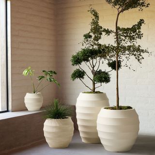 How to style with large decorative pots in the front yard – 6 ways to step-up your design scheme Interior Design Advice, Indoor Outdoor Planter, Modern Planters, Ornamental Trees, Decorative Pots, Outdoor Planters, West Elm, Shopping Hacks, How To Style