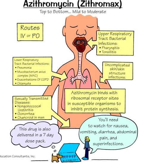 Azithromycin Pharmacology Mnemonics, Np School, Nursing Information, Nurse Study Notes, Nursing Mnemonics, Pharmacy School, Pharmacology Nursing, Nursing School Survival, Nursing School Studying