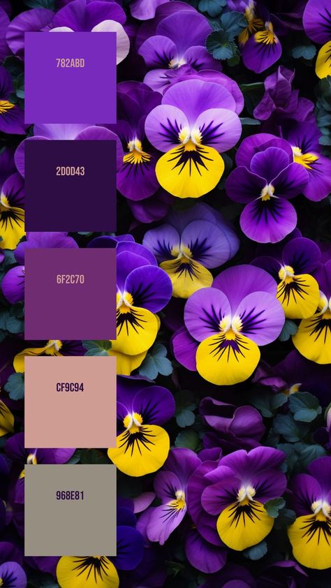 Colors:
782ABD
2D0D43
6F2C70
CF9C94
968E81 Crochet Color Palette, Pansy Flowers, Hex Color, Color Design Inspiration, Hex Color Palette, Flower Stand, Color Palette Design, Color Full, Hex Colors