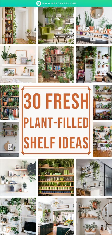 30 Fresh Plant-Filled Shelf Ideas - Matchness.com Plant Decor Living Room Wall Shelves, Plant Wall Shelf Ideas Kitchen, Plants On Shelves Decorating Ideas, Plant Wall Shelf Ideas Bedroom, House Plants On Shelves, Wall Shelving For Plants, Plant Shelves In Bedroom, Plant Shelf In Bedroom, Plant Shelf Wall Ideas