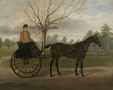 Now watch me whip.   Now watch me neigh neigh. Watch Me Nae Nae, Nae Nae, History Photos, Six Feet Under, Can't Stop Laughing, Art Memes, E Card, Laughing So Hard, A Horse