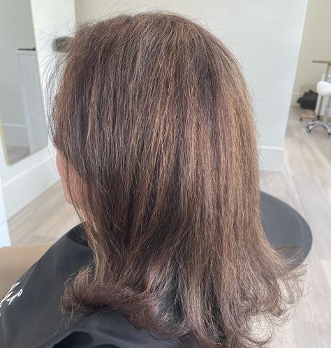 From box dye to beautiful brunette. 🤎 #justsaynotoboxdye #blackboxdyegoodbye #brunettehair #brunettebeauty #colorcorrection #cypresstxhairstylist #cypresstxhairsalon #larucestudioshtx #larucestudios #highlightshair Box Dye, Beautiful Brunette, Black Box, Brunette Hair, Color Correction, Dye, Hair, On Instagram, Quick Saves