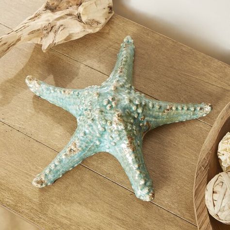 Pirate Shipwreck, Clay Models, Sea Stuff, Starfish Art, Coastal Ornament, Sea Urchin Shell, Ocean Room, Star Decor, Pottery Inspo