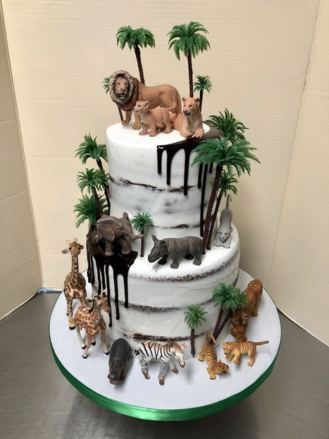 4 Ever Wild Birthday Cake, Safari Birthday Cake Ideas, Jungle Birthday Party Cake, Safari Jungle Birthday Cake, Two Wild Birthday Cake Boy, Jungle Cake Ideas Boys, Jungle Theme Cake Boys, Safari Birthday Cake Boy, Gold Safari Cake