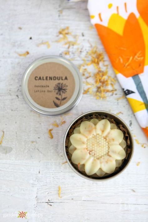 Lotion Bars Packaging, Calendula Lotion, Homemade Face Lotion, Lotion Bars Diy, Homemade Lotion Bars, Lotion Bars Recipe, Homemade Body Care, Garden Therapy, Lotion Recipe