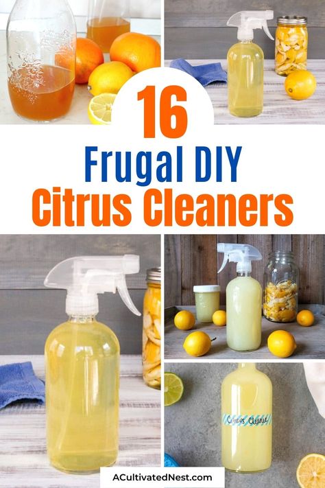 16 Frugal DIY Citrus Cleaners- Clean your home naturally and make it smell wonderful at the same time with these frugal DIY citrus cleaners! | #homemadeCleaners #diyCleaners #cleaning #cleaningTips #ACultivatedNest Natural Home Cleaners Diy, Lemon Cleaner Diy, Homemade Cleaner With Orange Peels, Homemade Citrus Cleaner, Citrus Cleaner Diy, Lemon House Cleaner, Diy Citrus Cleaner, Citrus Peel Cleaner, Orange Cleaner