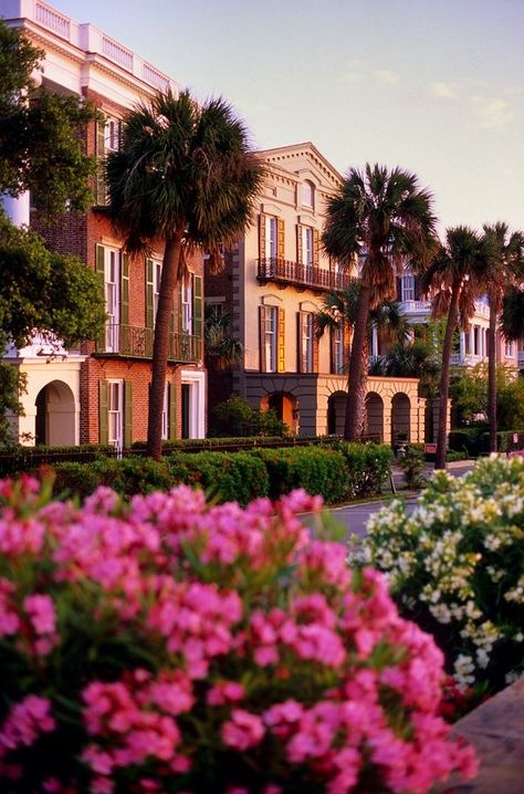 The Battery in Charleston SC Charleston Travel Guide, Charleston Travel, Charleston South Carolina, Pretty Places, Oh The Places Youll Go, Favorite City, Charleston Sc, Rhode Island, Vacation Spots