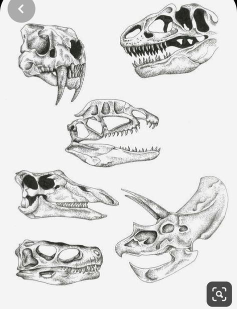 Dinosaur Sketch, Dinosaur Tattoos, Dinosaur Drawing, Theme Tattoo, Skull Drawing, Dinosaur Art, Charles Darwin, The Skull, Skull Tattoos