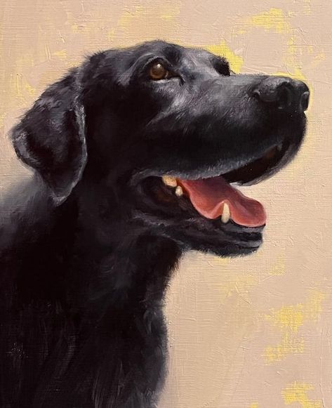 Cats Portraits, Dog Oil Painting, Virtual Art, Black Labrador, Dog Paintings, Black Dog, Caricatures, Dogs Cats, Dog Art