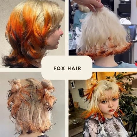 Fox Tips Hair, Fox Dyed Hair, Fox Hair Dye, Dyed Tips, Hair Dye Tips, Fox Hair, Goth Hair, Dyed Hair Inspiration, Hair Inspiration Short