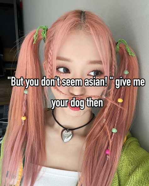 "But you don't seem asian! " give me your dog then Only Asians Will Understand, Asian Core, Asian Meme, Rose Core, Asian Baddie, Asian Characters, Asian Humor, Mixed Baby, Whisper Meme