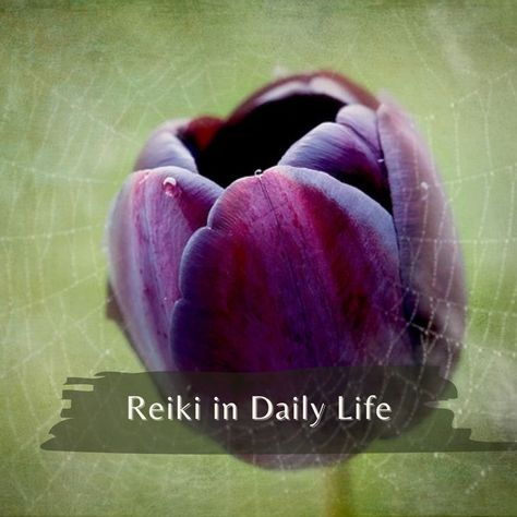 Healing Yourself, Love Gratitude, Just Give Up, Reiki Healing, Self Healing, Beautiful Nature Scenes, Nature Scenes, Namaste, Reiki