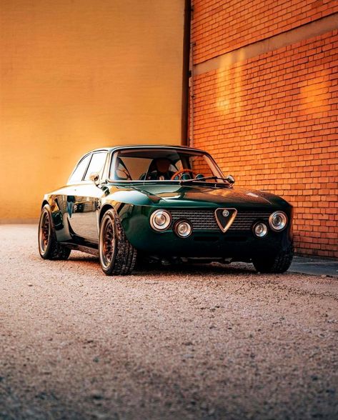 240z Datsun, Alfa Cars, Alfa Romeo Gta, Alfa Romeo 155, Alfa Romeo Cars, Alfa Romeo Giulia, Classic Sports Cars, Classy Cars, Ex Machina