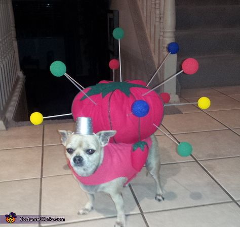 Pin Cushion Costume, Costumes For Dogs, Creative Costume, Homemade Costume, Diy Dog Costumes, Pet Halloween Costumes, Animal Costumes, Halloween Costume Contest, Dog Halloween Costumes