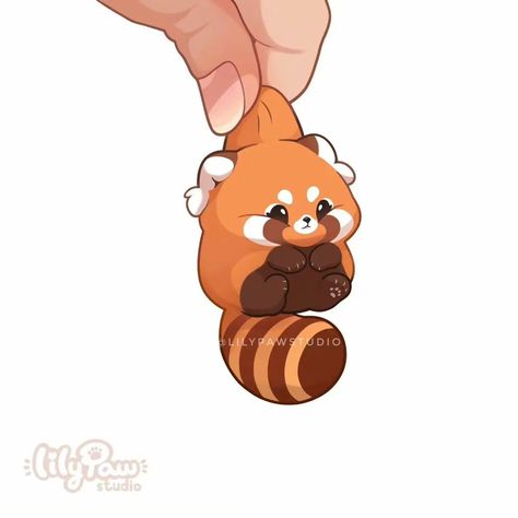 Red Panda, Mochi, Lily, Red, On Instagram, Instagram, Kawaii