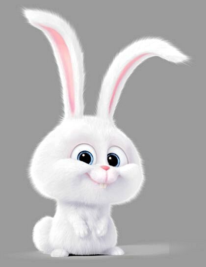 Secret Life Of Pets, Secret Life, The Secret, White