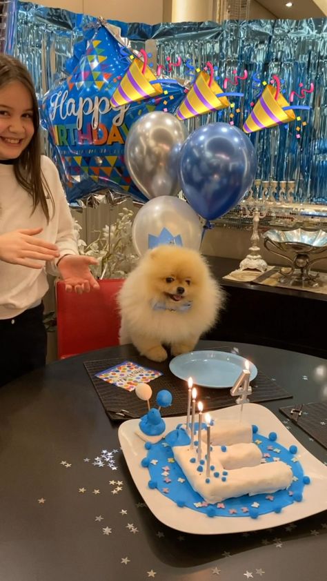 Happy Birthday Eddie, Pomeranians Puppy, Pomeranian Birthday, Celebrating Birthday, Melting Moments, Pet Birthday, Dog Birthday Party, Happy Tails, Dog Party