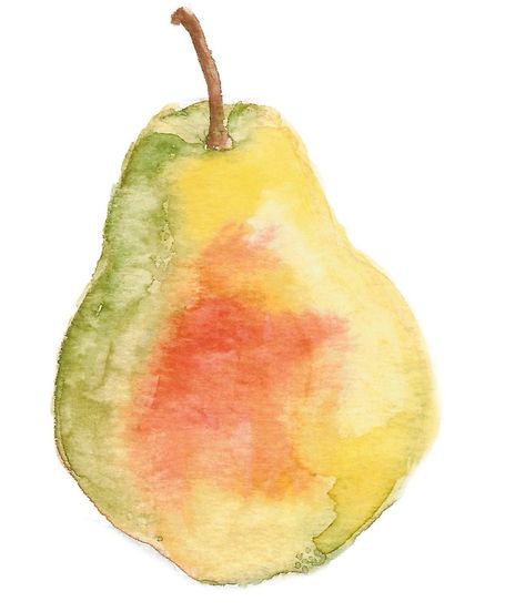 Easy Watercolor Fruit, Fruit Watercolor Painting Easy, Watercolor Fruit Tutorial, Watercolor Fruit Paintings, Fruits Watercolor Painting, Watercolor Art Fruit, Watercolor Art Simple, Watercolor Pears, Simple Watercolor Ideas