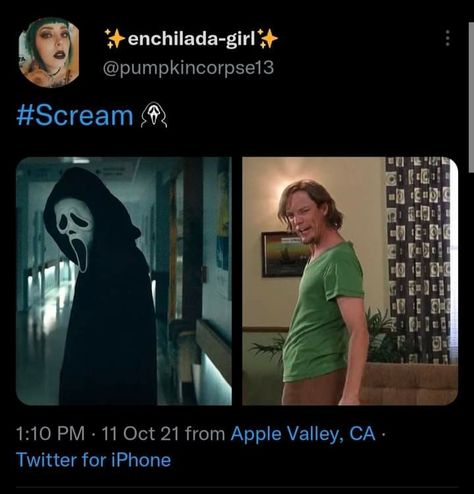 Funny Scary Movie Memes, Matching Slasher Pfps, Horror Movie Humor, Scream Movie Funny, 80s Horror Movie Memes, Funny Scream Movie Memes, Scary Movie Memes, Scream Fanart, Horror Movie Aesthetic