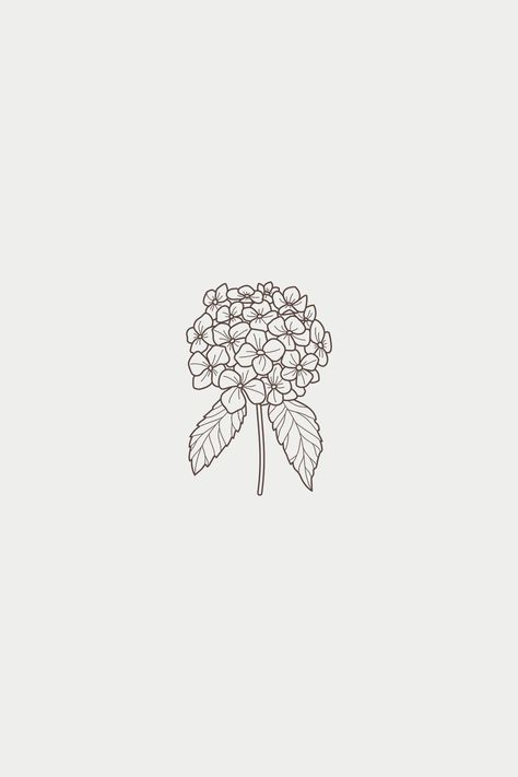 hortensia Minimalist Hydrangea Tattoo, Flower Drawing Hydrangea, Hydrangea Line Tattoo, Hydrangea Tattoo Simple, Hydrangea Line Art, Tattoo Hydrangea, Hydrangea Tattoo Small, Hydrangea Drawing, Iconic Tattoos