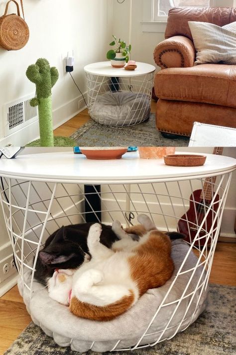 Cat House Furniture, Cat Ikea Diy, Apartment With Cat Ideas, Ikea Hack Dog Bed, Cat Tree Living Room Ideas, Cat Furniture In Living Room, Cat Place Ideas, Room With Cats Ideas, Diy Cat Crate Ideas