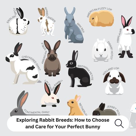 With over 50 domesticated rabbit breeds you are bound to find one that fits your household! 🐇❤️⁠ ⁠ Our latest blog helps you navigate the world of rabbit breeds, understand their care requirements, and explains why adopting from rescues is a compassionate choice. ⁠ ⁠ Click the 🔗 in bio to find your ideal bunny companion! 🏡 ⁠ Types Of Bunnies, Bunny Breeds, Rabbit Breeds, Rabbit Hole, Rabbits, Over 50, Adoption, Finding Yourself, The World