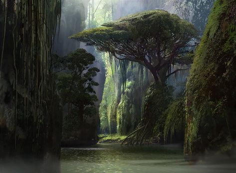 Jungle Hollow - Khans of Tarkir MtG Art Eytan Zana, Fantasy Jungle, Mtg Art, Hollow Art, Mood Images, Skull Island, Location Inspiration, Fantasy Forest, Fantasy Castle