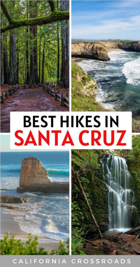 Things To Do In Santa Cruz California, Things To Do In Santa Cruz, Santa Cruz Outfit Ideas, Pleasure Point Santa Cruz, California Hiking Trails, Santa Cruz Redwoods, California Hiking, California Coast Road Trip, Santa Cruz Beach