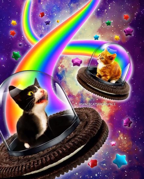 Internet Awesomesauce, Fire Pictures, Oreo Cat, Candy Cat, Cat In Space, Pop Cat, Early 2010s, Cream Cookies, Cat Coloring Book