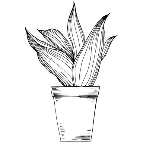 Sketch Of Plants, Flower Pots Sketch, Flower Pot Sketch Drawing, House Plant Drawing Simple, How To Draw Plants Easy, Pot Plants Drawing, Plant In A Pot Drawing, Small Plant Drawing, Pot Sketch Drawing