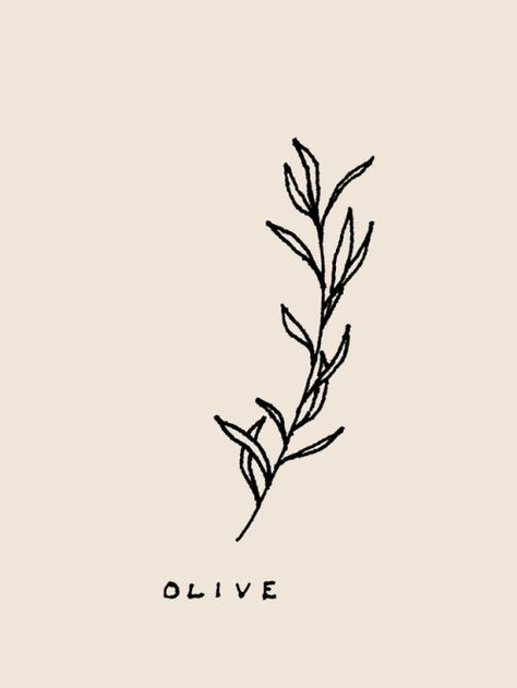 Pressed Flower Tattoo, Olive Branch Sketch, Calm Tattoo, Olive Tattoo, Olive Branch Tattoo, Branch Tattoo, Handpoke Tattoo, Dainty Tattoos, Real Tattoo