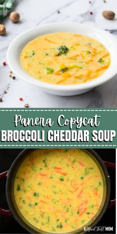 Craving the comforting flavors of Panera’s Broccoli Cheddar Soup? Save time and calories with this homemade version! Packed with tender broccoli, sharp cheddar, and a creamy, flavorful broth, this one-pot soup is ready in under 30 minutes. Perfect for a quick weeknight dinner or cozy lunch, it's a simple, satisfying dish the whole family will love. Paneras Broccoli Cheddar Soup, Panera’s Broccoli Cheddar Soup, Panera Broccoli And Cheddar Soup, Broccoli Cheddar Soup Instapot, Panera Broccoli And Cheese Soup Copycat, Crockpot Broccoli Cheddar Soup Panera, Panama Broccoli Cheese Soup, Broccoli Cheese Soup With Cream Cheese, Panera Broccoli Soup