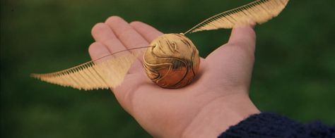 Snitch 2 Harry Potter Proposal, Harry Potter Snitch, Harry Potter Wiki, Harry Potter Golden Snitch, Rubeus Hagrid, Harry Porter, Harry Potter Quiz, Harry Potter Quidditch, Theme Harry Potter