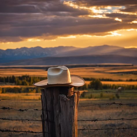 Kevin Costner's Gritty Journey as John Dutton in Montana Ranch Family Drama

#characterdevelopment #familydrama #grittyrealism #johndutton #kevincostner #moderntelevision #Montanaranchers #ranchingfamily #televisionseries #YellowstoneTVshow John Dutton Aesthetic, Yellowstone Tv Series Wallpaper, Dillon Montana, Yellowstone Show, Yellowstone Cast, Yellowstone Rip, Dutton Family, Yellowstone Tv Show, Ranch Family